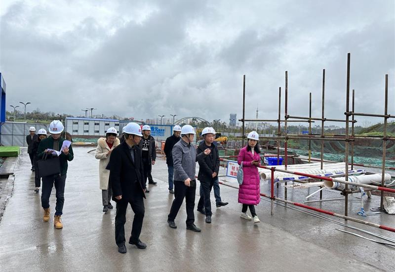 市、区水务局赴乐鱼app最新版下载-乐鱼（中国）
·天空的院子项目开展现场指导工作 (2)_800-550